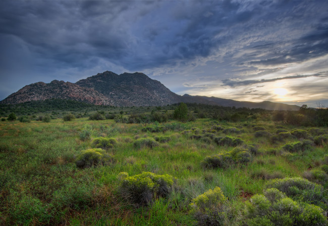 Обои картинки фото природа, горы, луг, кусты, холмы, небо