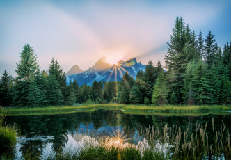 Картинка природа реки озера река лес