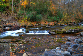 Картинка природа реки озера лес река