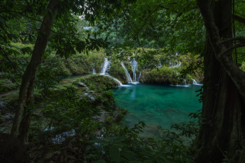 Картинка природа реки озера лес река