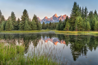 Картинка природа реки озера река лес