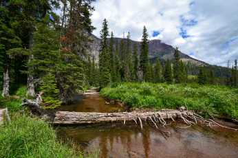 Картинка природа реки озера лес река