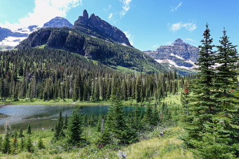 Картинка природа реки озера лес река