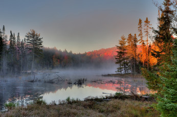 Картинка природа реки озера лес река