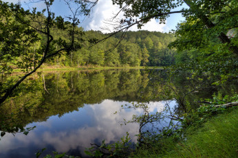 Картинка природа реки озера река лес