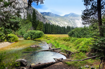 Картинка природа реки озера река лес