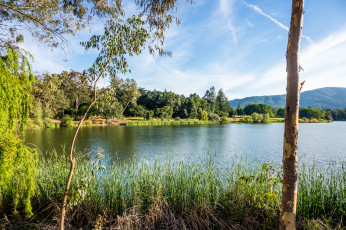 Картинка природа реки озера река лес