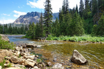 Картинка природа реки озера река лес