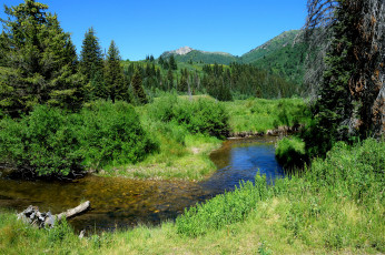 Картинка природа реки озера река лес