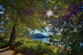 Картинка природа реки озера река лес