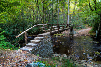 Картинка природа реки озера река лес