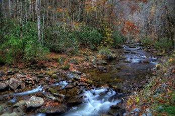 Картинка природа реки озера река лес