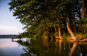 Картинка природа реки озера лес река