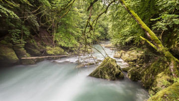 Картинка природа реки озера река лес