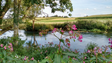 Картинка природа реки озера река лес