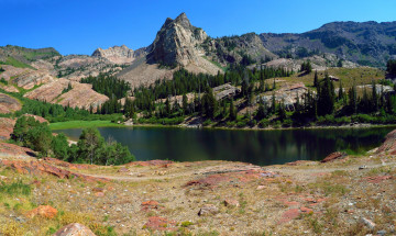 Картинка природа реки озера река лес