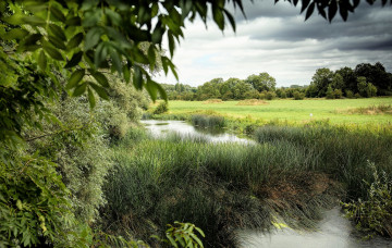 Картинка природа реки озера река лес