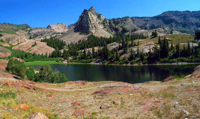 Обои картинки фото природа, реки, озера, река, лес