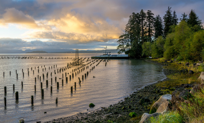 Обои картинки фото природа, реки, озера, река, лес