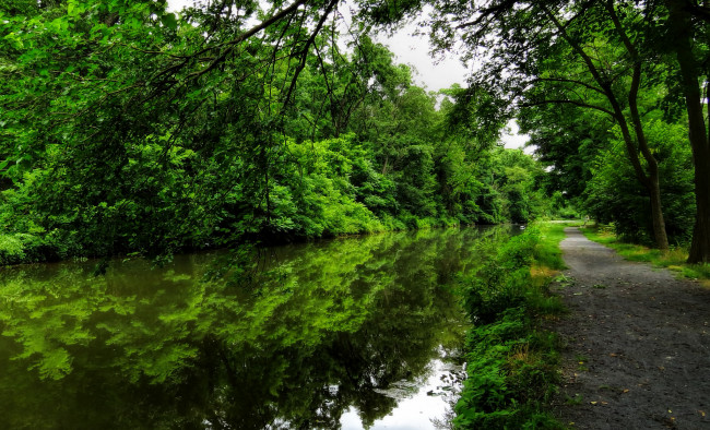 Обои картинки фото природа, реки, озера, река, лес