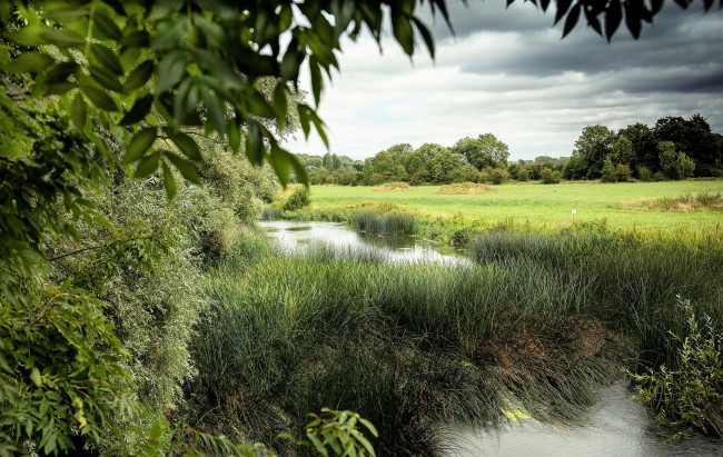 Обои картинки фото природа, реки, озера, река, лес