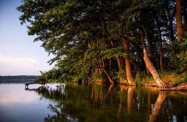 Обои картинки фото природа, реки, озера, лес, река