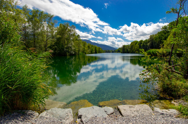 Обои картинки фото природа, реки, озера, река, лес