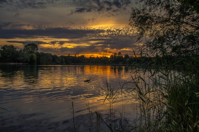 Обои картинки фото природа, реки, озера, лес, река