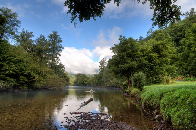 Обои картинки фото природа, реки, озера, лес, река