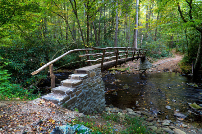 Обои картинки фото природа, реки, озера, река, лес