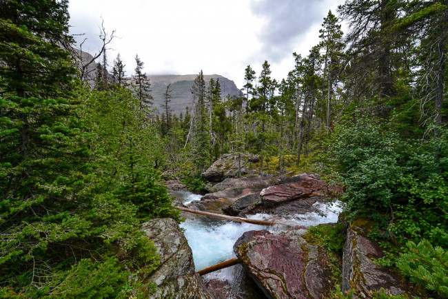 Обои картинки фото природа, реки, озера, лес, река