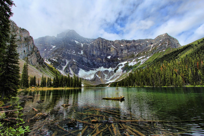 Обои картинки фото природа, реки, озера, лес, река