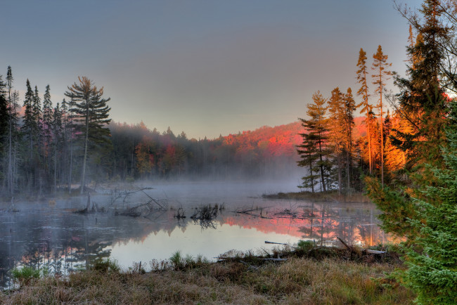 Обои картинки фото природа, реки, озера, лес, река