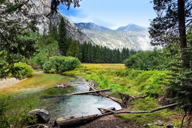 Обои картинки фото природа, реки, озера, река, лес