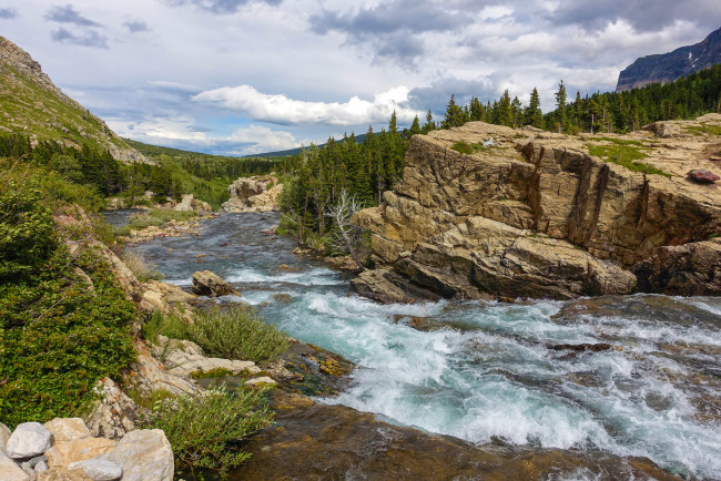 Обои картинки фото природа, реки, озера, река, лес