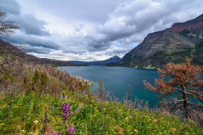 Обои картинки фото природа, реки, озера, река, лес