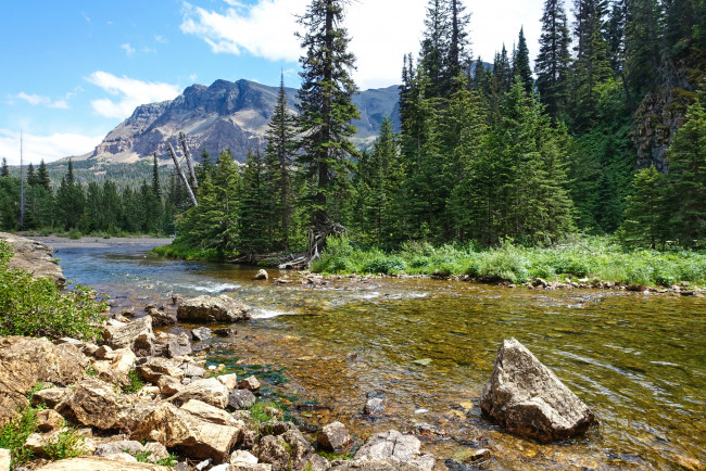 Обои картинки фото природа, реки, озера, река, лес