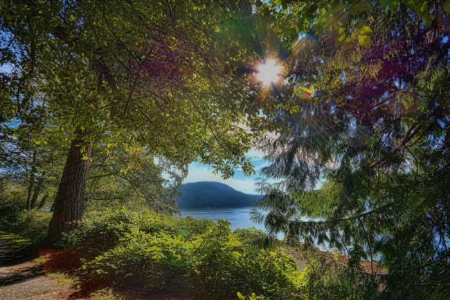 Обои картинки фото природа, реки, озера, река, лес