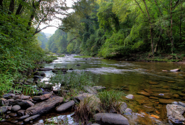 Обои картинки фото природа, реки, озера, река, лес