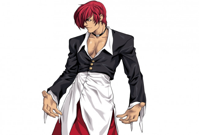 Обои картинки фото видео игры, king of fighters 2002, 2003, king, of, fighters