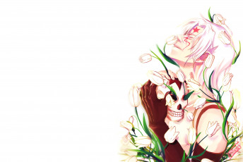 Картинка аниме +gray-man парень