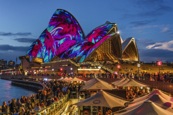 Картинка города сидней+ австралия сидней австрия ночной город ночные огни