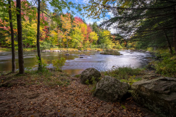 Картинка природа реки озера простор