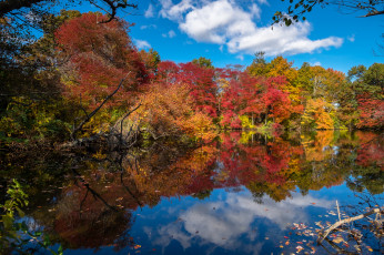 Картинка природа реки озера простор