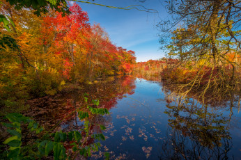 Картинка природа реки озера простор