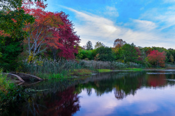 Картинка природа реки озера простор