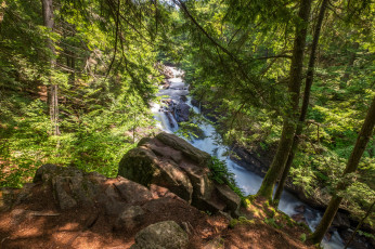 Картинка природа реки озера простор