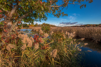 Картинка природа реки озера простор