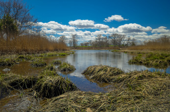 Картинка природа реки озера простор