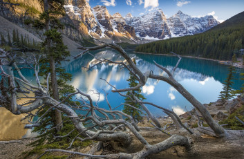 Картинка природа реки озера простор